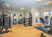 Thumbnail 5 of 34 - fitness room at Arbors at Windsor Lake, Columbia  