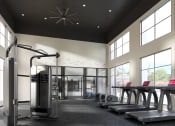 Thumbnail 2 of 16 - a gym with cardio equipment and windows in a building