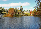 Thumbnail 9 of 31 - Lake With Fountain at Carrington Place at Wildewood, Columbia South Carolina   