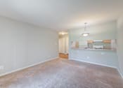 Thumbnail 3 of 10 - Carpeted Living Area at Carolina Springs Apartments, Carrboro, 27510