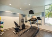 Thumbnail 2 of 6 - a gym with weights and cardio equipment in a large room