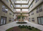 Thumbnail 10 of 18 - a courtyard with a tree in the middle of an apartment building