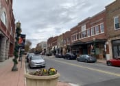 Thumbnail 9 of 13 - a city street with cars and a large pot of flowers
