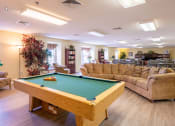 Thumbnail 17 of 28 - a game room with a pool table and couches