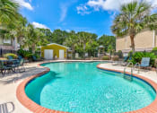 Thumbnail 14 of 15 - a swimming pool with chairs and palm trees