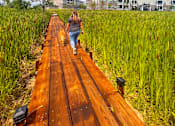 Thumbnail 2 of 67 - a woman walking her dog on a wooden boardwalk in a field  at Timber Ridge, Forest Lake, 55025