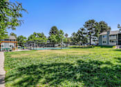 Thumbnail 40 of 49 - A sunny day at the park with a clear blue sky.