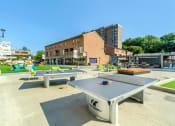 Thumbnail 41 of 82 - Ping Pong Tables at Trillium Apartments, Fairfax, Virginia
