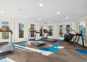 Thumbnail 12 of 20 - Fitness room featuring multiple treadmills and elliptical machines, with bright natural light from surrounding windows.