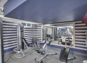Thumbnail 23 of 61 - Weightlifting equipment in the fitness center