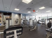 Thumbnail 73 of 82 - Large gym space with something for everyone at Trillium Apartments, Fairfax, VA