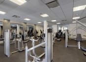 Thumbnail 75 of 82 - Diverse equipment in this stunning fitness facility at Trillium Apartments, Virginia