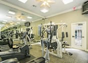Thumbnail 11 of 17 - A gym with a variety of equipment including treadmills, weights, and a television.