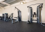 Thumbnail 12 of 16 - the gym is equipped with weights and cardio equipment