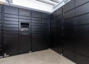 Thumbnail 15 of 16 - a bunch of black lockers in a room