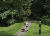 Thumbnail 81 of 82 - Plenty of serene walking paths for you and your pet at Trillium Apartments, Fairfax, Virginia