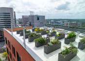 Thumbnail 20 of 32 - a roof terrace with plants and a city in the background