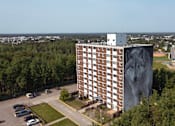 Thumbnail 2 of 17 - A large building with a mural of a woman's face on the side.