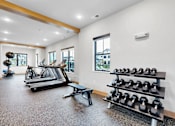 Thumbnail 85 of 113 - A gym with a treadmill, weights, and exercise equipment.