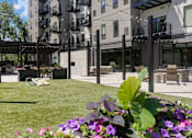 Thumbnail 10 of 88 - A flower bed with purple flowers in front of a building.