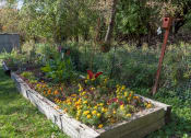 Thumbnail 29 of 34 - Courtyard Garden at Briarcliff Apartments, a 55+ Community, Mahtomedi, MN, 55115