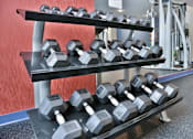 Thumbnail 45 of 82 - Free Weights In Gym at Lake Jonathan Flats, Minnesota, 55318