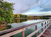 Thumbnail 62 of 82 - fall colors at lake jonathan flats