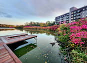 Thumbnail 61 of 82 - fall colors at lake jonathan flats