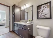 Thumbnail 22 of 82 - A bathroom with a white toilet and a large mirror.at Lake Jonathan Flats, Chaska, MN