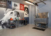 Thumbnail 66 of 73 - Dog Wash at Third North Apartments, Minnesota, 55401