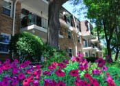 Thumbnail 20 of 28 - Garden of Flowers in Courtyard of West St. Paul Apartment
