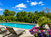 Thumbnail 67 of 110 - A pool surrounded by lounge chairs and trees.