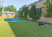 Thumbnail 47 of 64 - A dog is playing with a ball in a yard.