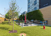 Thumbnail 50 of 64 - A tree in a yard with a red swing set.