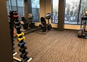 Thumbnail 4 of 47 - A gym with a variety of equipment including weights and machines at The Redwell Apartments, Minnesota