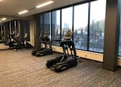 Thumbnail 5 of 47 - A gym with treadmills and elliptical machines at The Redwell Apartments, Minneapolis