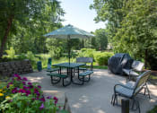 Thumbnail 27 of 29 - Patio and grilling area