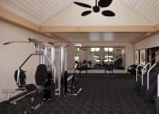 Thumbnail 49 of 49 - a gym with cardio equipment and a ceiling fan at Sandhill Parkway Townhomes Apartments, Minnesota