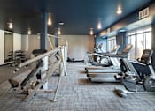 Thumbnail 56 of 60 - Fully-Equipped Fitness Center at The McMillan Apartments in Shoreview, MN 55126