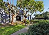 Thumbnail 23 of 47 - A tree in front of a house at Skyline Heights Apartments, California