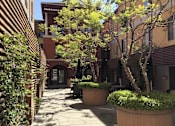 Thumbnail 4 of 23 - A Courtyard With a Tree at Atrium Garden Apartment Homes, LLC, San Jose, CA, 95112