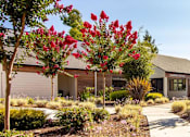 Thumbnail 17 of 25 - a house with a sidewalk and trees in front of it at Parc Medallion LLC, Union City
