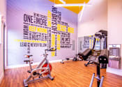 Thumbnail 3 of 25 - a gym with a wall covered in gym equipment at Parc Medallion LLC, California