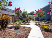 Thumbnail 19 of 25 - Courtyard at Parc Medallion LLC, Union City, CA, 94587