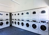 Thumbnail 2 of 25 - Laundry Room at Parc Medallion LLC, Union City, California