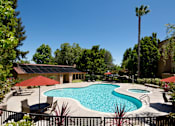 Thumbnail 12 of 21 - A pool surrounded by trees and a house. at The Maddox Sunnyvale Apartments, Sunnyvale, California