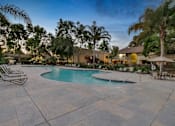 Thumbnail 11 of 90 - a swimming pool with chairs and umbrellas at Summerwood Apartments, Santa Clara, CA