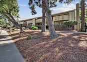 Thumbnail 67 of 90 - a courtyard with trees and a building in the background at Summerwood Apartments, California