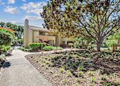 Thumbnail 45 of 90 - a sidewalk in front of a building with trees and plants at Summerwood Apartments, Santa Clara