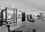 Thumbnail 83 of 90 - a gym with weights and cardio equipment in a room with a large window at Summerwood Apartments, Santa Clara, CA